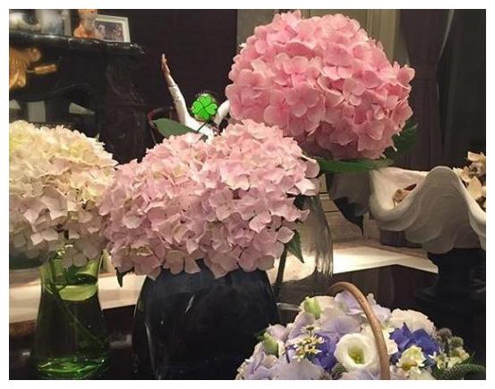 带你看雷佳音的豪宅,墙壁装修全部铺大理石,起码上百万