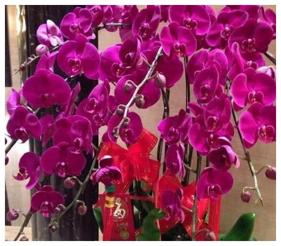 带你看雷佳音的豪宅,墙壁装修全部铺大理石,起码上百万