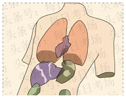 每日猜成语传说中的那只兔子，人类最重要的配件