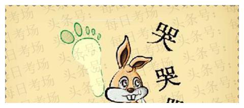 每日猜成语传说中的那只兔子，人类最重要的配件