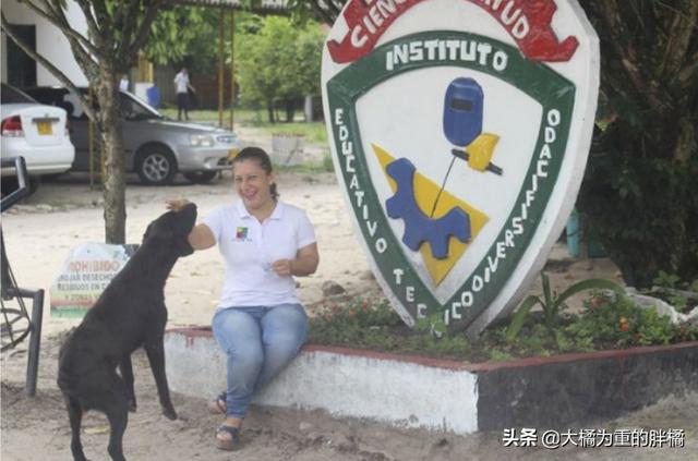 流浪狗跟人学习买饼干,竟把“树叶”当钱用,老板的做法太有爱了