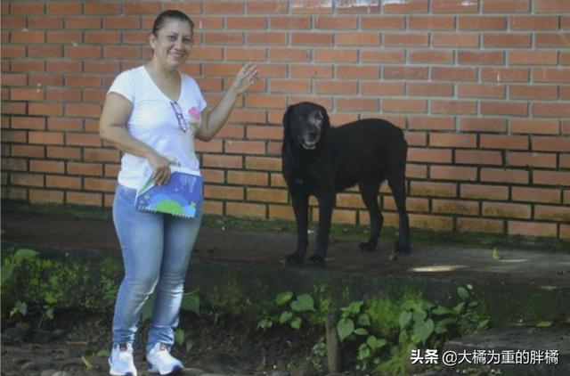 流浪狗跟人学习买饼干,竟把“树叶”当钱用,老板的做法太有爱了