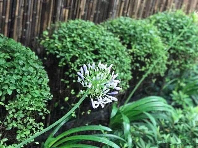 步入秋冬,我们的植物应该如何养护?掌握几点,轻松度过!