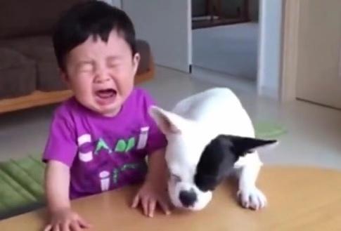 狗狗看着小主人吃饼干，宝宝下一秒动作，把网友们更是笑翻了