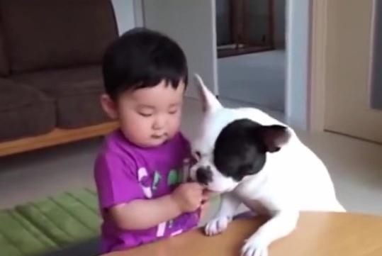 狗狗看着小主人吃饼干，宝宝下一秒动作，把网友们更是笑翻了