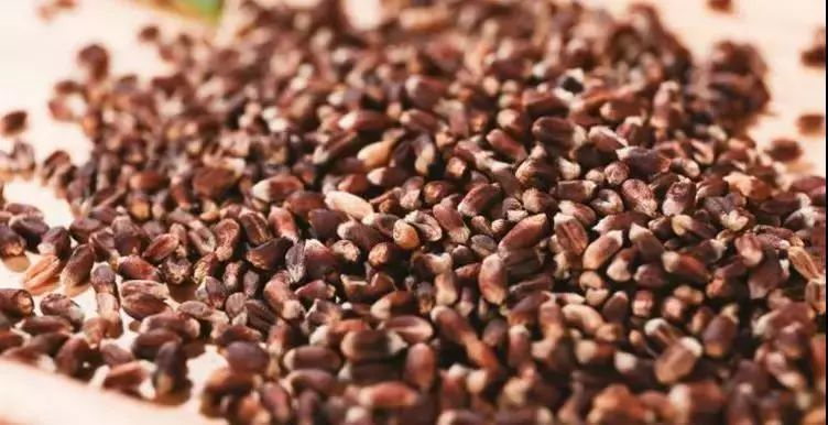 减脂必备网红代餐饼干,减重不挨饿,控糖补营养!