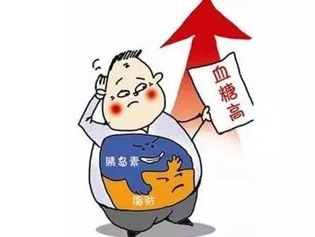 减脂必备网红代餐饼干,减重不挨饿,控糖补营养!