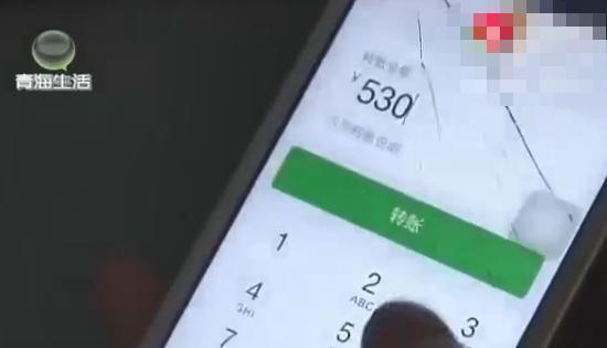 女大学生网购宠物，没想到却掉入陷阱，卖家：把猫换了还想讹钱？