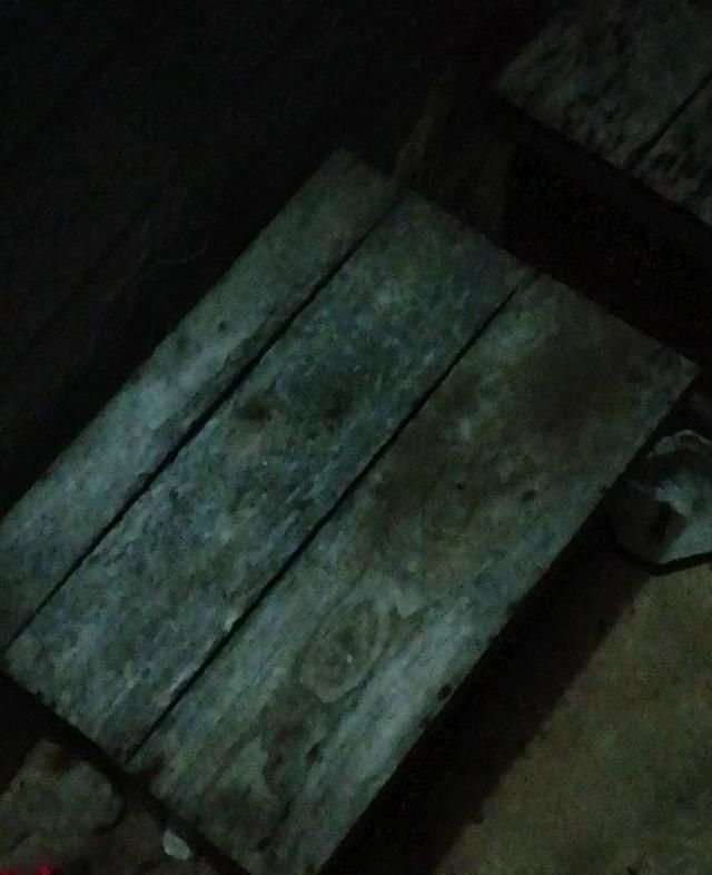 怎么样诱蜜蜂的成功率高