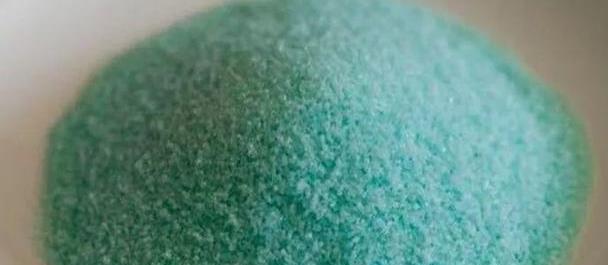 茉莉养护秘籍，不开花黄叶子，来点“发酵果汁”，叶子油绿花满盆