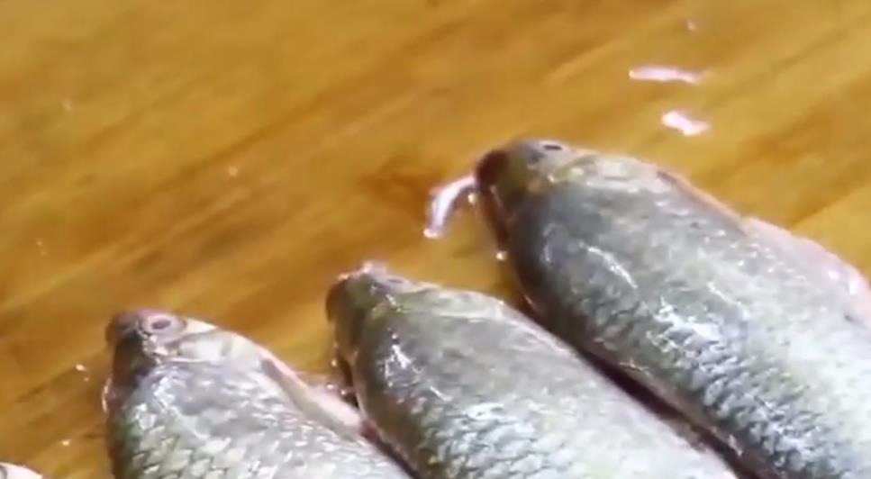烧烤摊3种肉无法造假，味道超级美味，会点来吃的是吃货