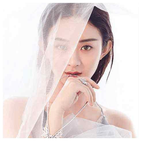 这么美的片子,女主人公是赵丽颖,导演把赵丽颖当成了一个艺术品