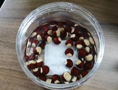玉米棒子好吃，还可以种成盆景哦，达人教你怎么把玉米棒子养好看