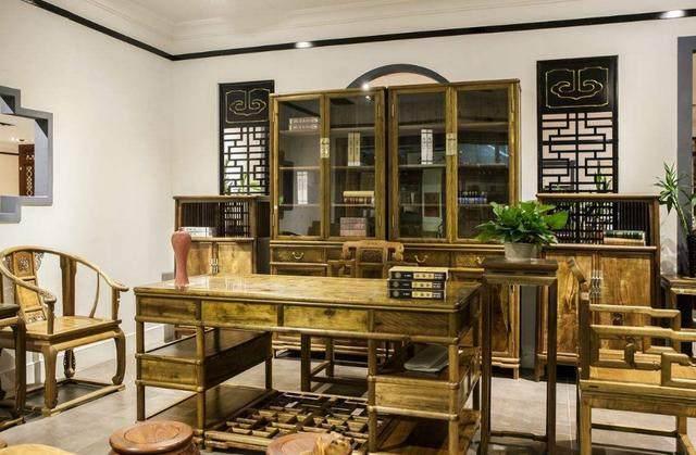 养眼舒心,书房这4种绿植最合适!养护简单,让你工作学习更有劲