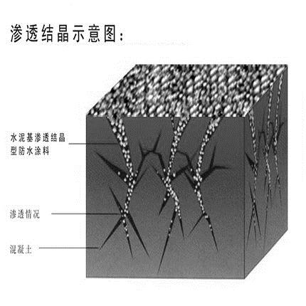 全面分析水泥基渗透结晶防水涂料防水机理及施工工艺
