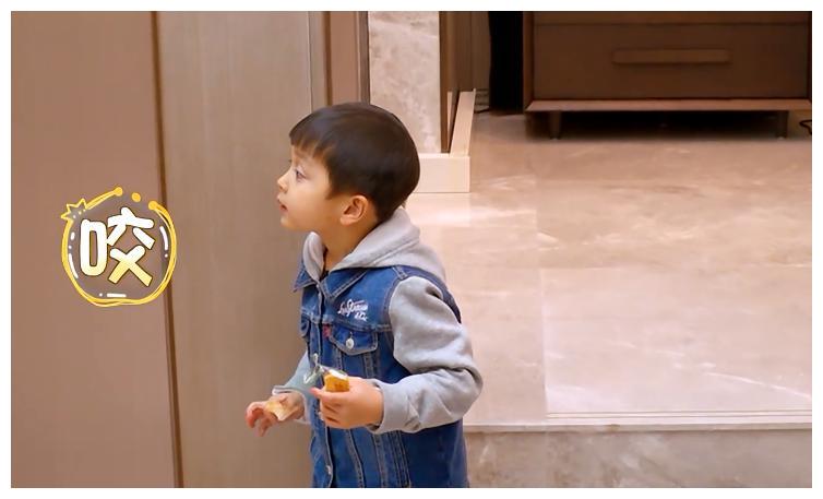 同样都是偷吃饼干，大麟子就比咘咘要机智的多