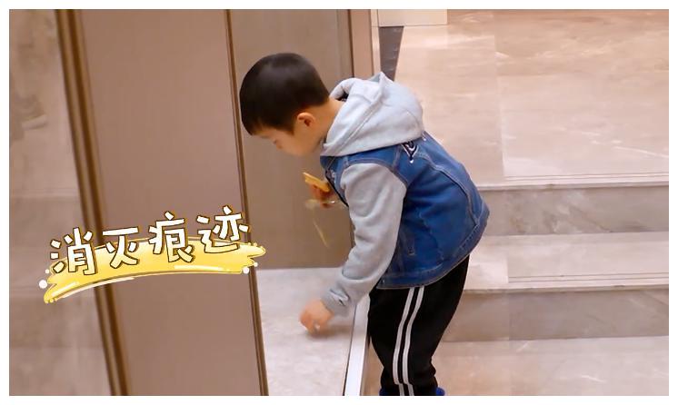 同样都是偷吃饼干，大麟子就比咘咘要机智的多