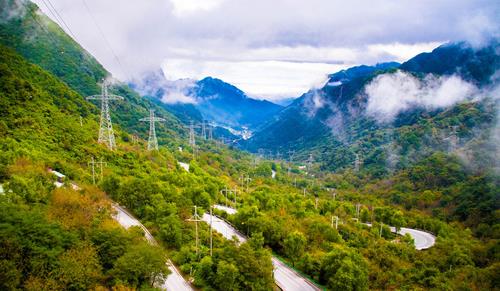 跟着蜜蜂去旅行,旅行行家是蜜蜂!
