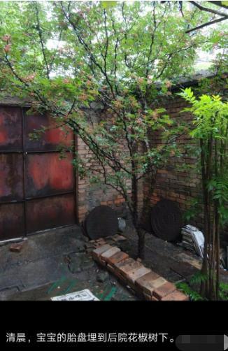 产妇生完宝宝出院后，胎盘留医院还是带走自己用，这样处理更科学