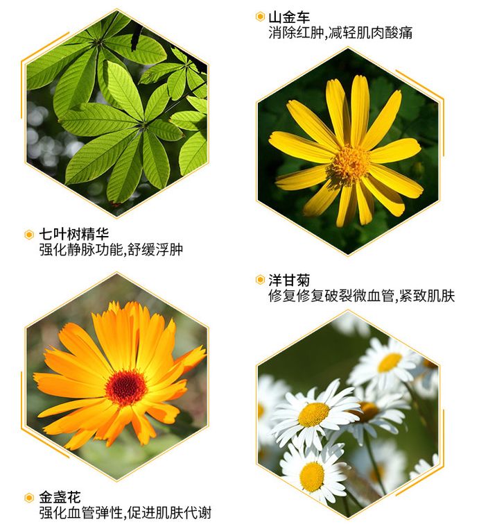 怕颈肩痛，怕关节疼？这个老品牌超管用，德国人用了88年！