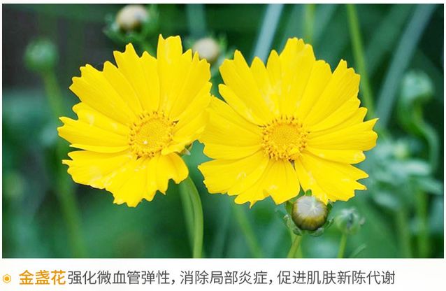 怕颈肩痛，怕关节疼？这个老品牌超管用，德国人用了88年！