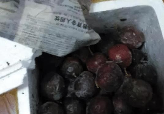东北人冬天“不配”网购？看完你就知道这不是笑话，瞬间好庆幸