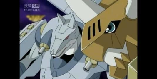 数码宝贝:他是加鲁鲁兽家族最帅气的数码兽,其究极体可击败皇骑