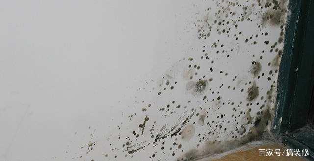 秋冬墙面保养正当时,学会4招正确养护方法,墙面久用不发黄开裂