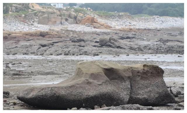 【泉州】崇武除了石雕、石城,还有种“石获”的东西,你知道吗?