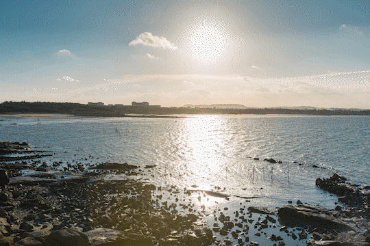 【泉州】崇武除了石雕、石城,还有种“石获”的东西,你知道吗?