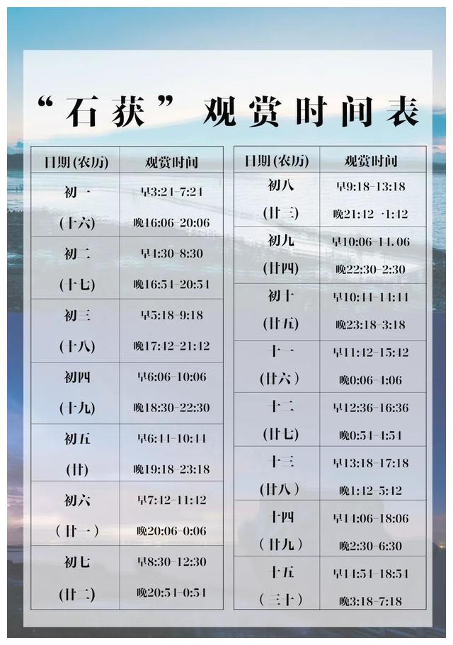 【泉州】崇武除了石雕、石城,还有种“石获”的东西,你知道吗?