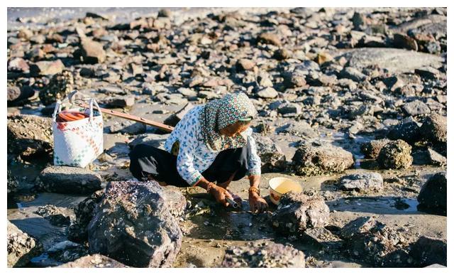 【泉州】崇武除了石雕、石城,还有种“石获”的东西,你知道吗?