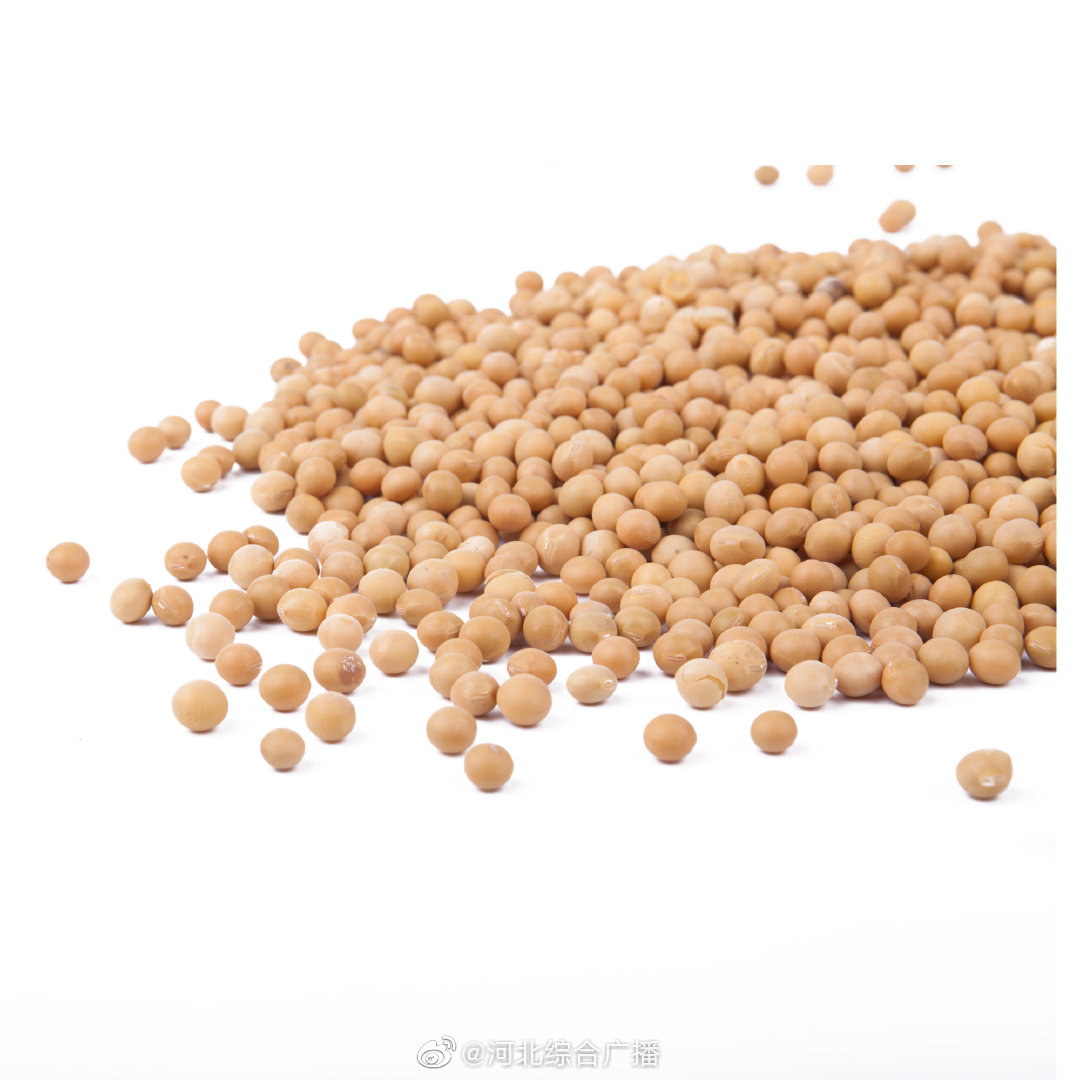 平均亩产翻一番！河北万亩规模生产大豆实现我国新突破