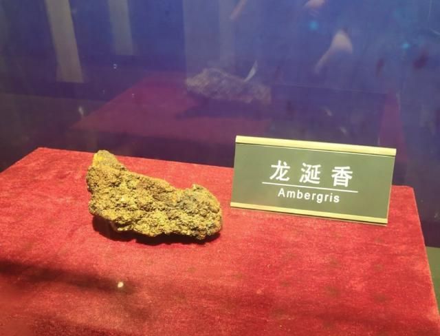 世界上最贵的便便！却是高级香水的重要原料？5斤就值500多万？
