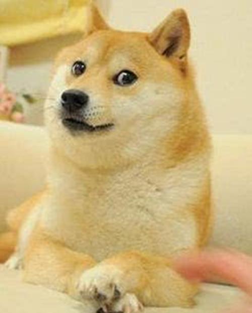 开心一刻:我在路边买饼干,实在是太香了,忍不住就一边装一边吃