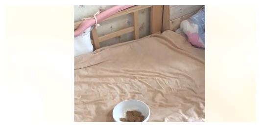 妈妈把小饼干放碗里,双胞胎一起过来, 分享的样子太萌了