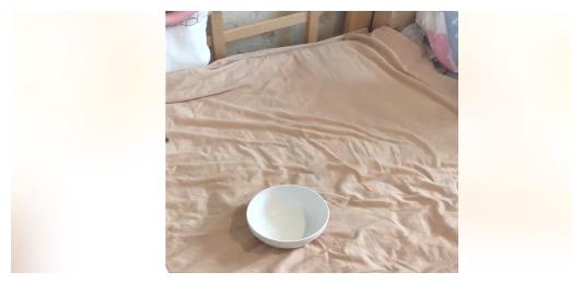 妈妈把小饼干放碗里,双胞胎一起过来, 分享的样子太萌了