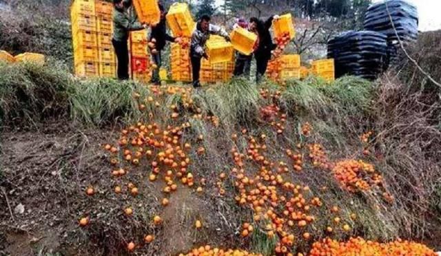 什么原因造成农产品滞销?到底怎么才能解决这个难题?