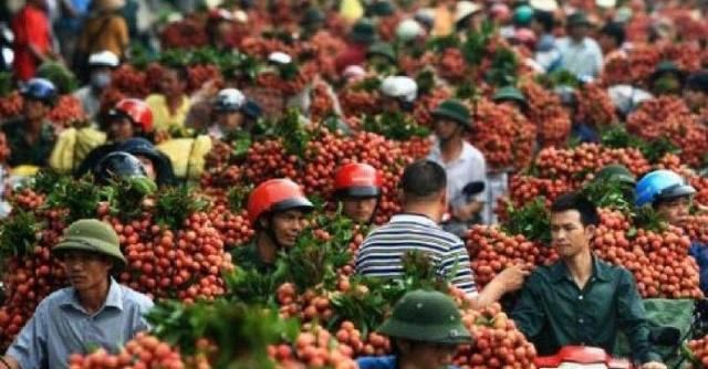 什么原因造成农产品滞销?到底怎么才能解决这个难题?