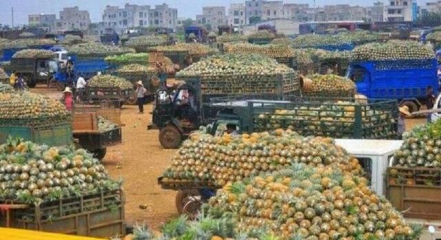 什么原因造成农产品滞销?到底怎么才能解决这个难题?