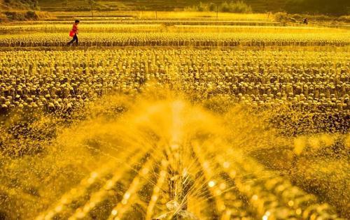 第三批省级农产品质量安全放心县公布 丽水四地上榜