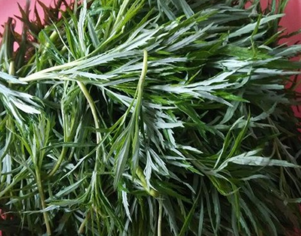 盘点最“难吃”的5种农产品,你要全都喜欢,就给你点个“赞”!