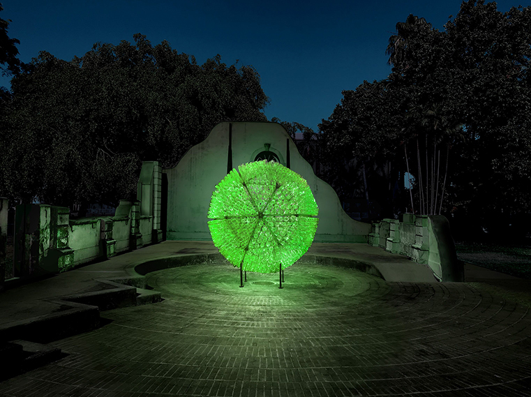 “Bruce Munro：热带之光”灯光雕塑展即将登陆达尔文