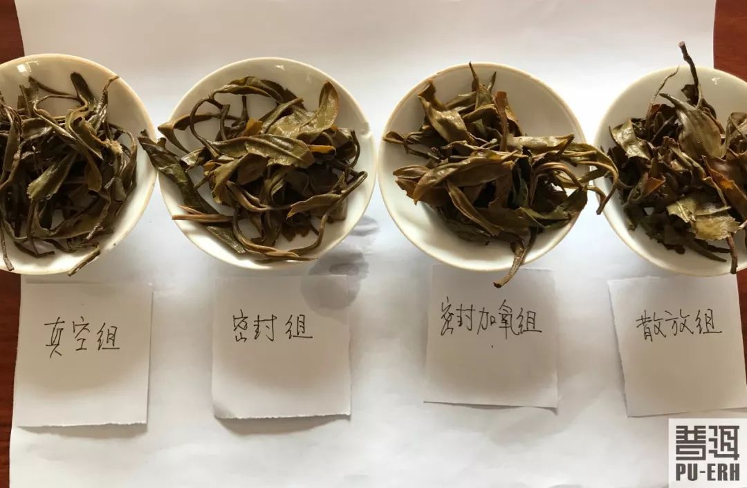 普洱茶密封&通风存储对比实验