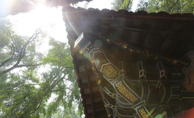 蓝天，疏朗若提琴；白云，温柔如钢琴