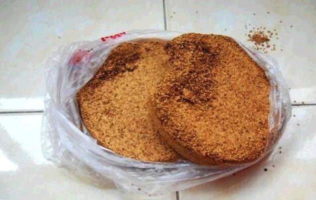 老花匠用“饼”养护君子兰，半年长10盆，盆盆都“爆满”