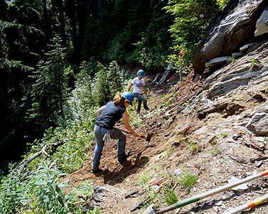 微型盆景盆比树贵,养护麻烦,为什么你还喜欢养?