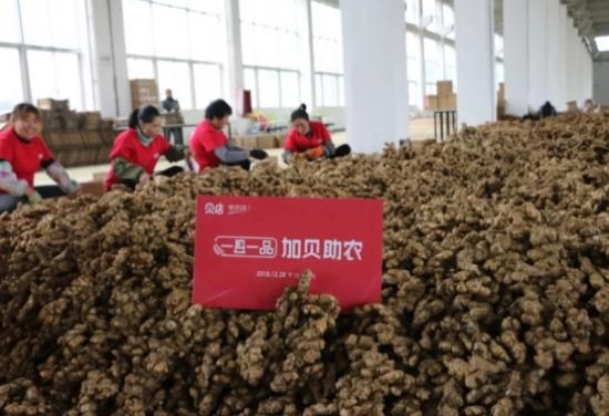 “网红”农产品销售火爆背后:贝店走出电商助农新模式