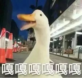 《竹马钢琴师》恋情升级！慕流年论吨吃醋？朱晓鹏罗希开始发糖？