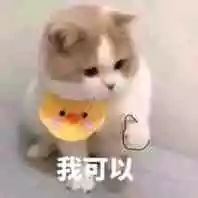 值得买 | 请原地下单！我保证你内衣边边露出来的尴尬再也不会有！